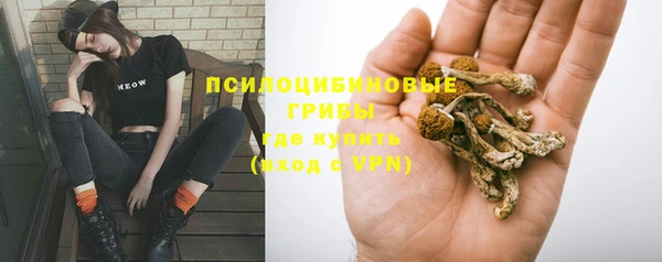 сатива Арсеньев
