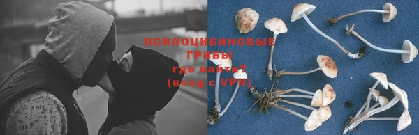 сатива Арсеньев