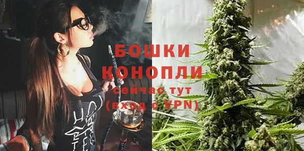 сатива Арсеньев
