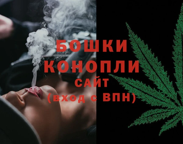 сатива Арсеньев