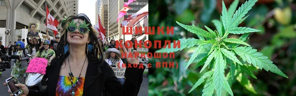 сатива Арсеньев