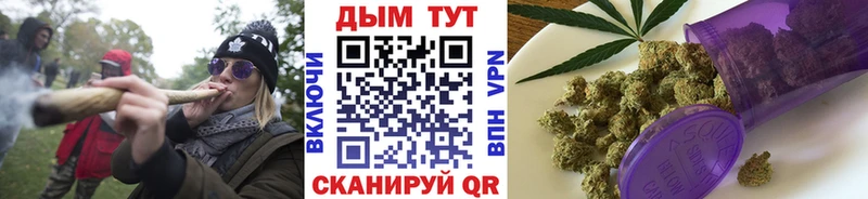 Канабис конопля  Рудня 